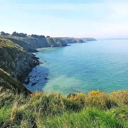Les Mouettes-face A La Et Au Sentier Des Douaniers Planguenoual